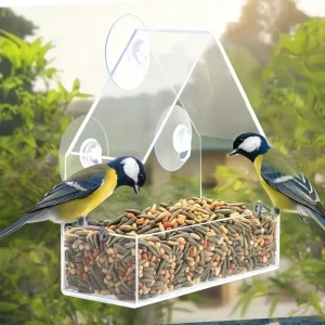 Transparent Bird Feeder