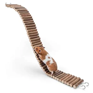 Hamster Suspension Bridge