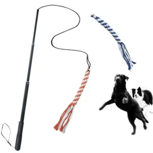 Dog Extendable Toy