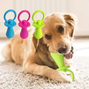 Squeaky Bell Dog Pacifier Toy